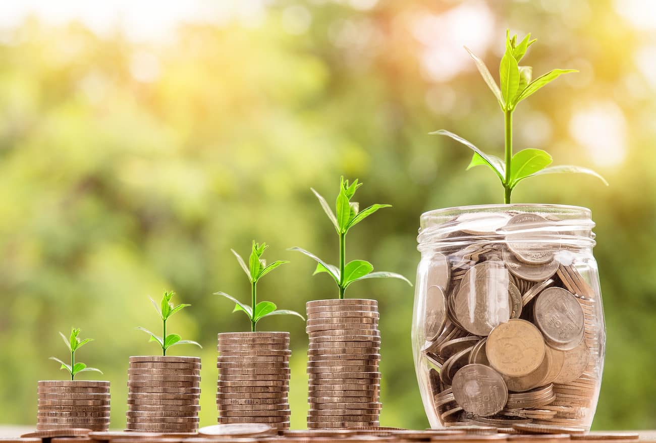 Navigating Business Evolution in the New Economy